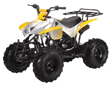 TaoTao ATA-125H ATV Parts