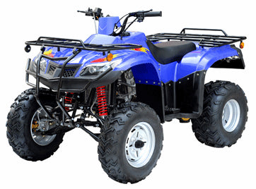 TaoTao ATA-300A1 ATV Parts