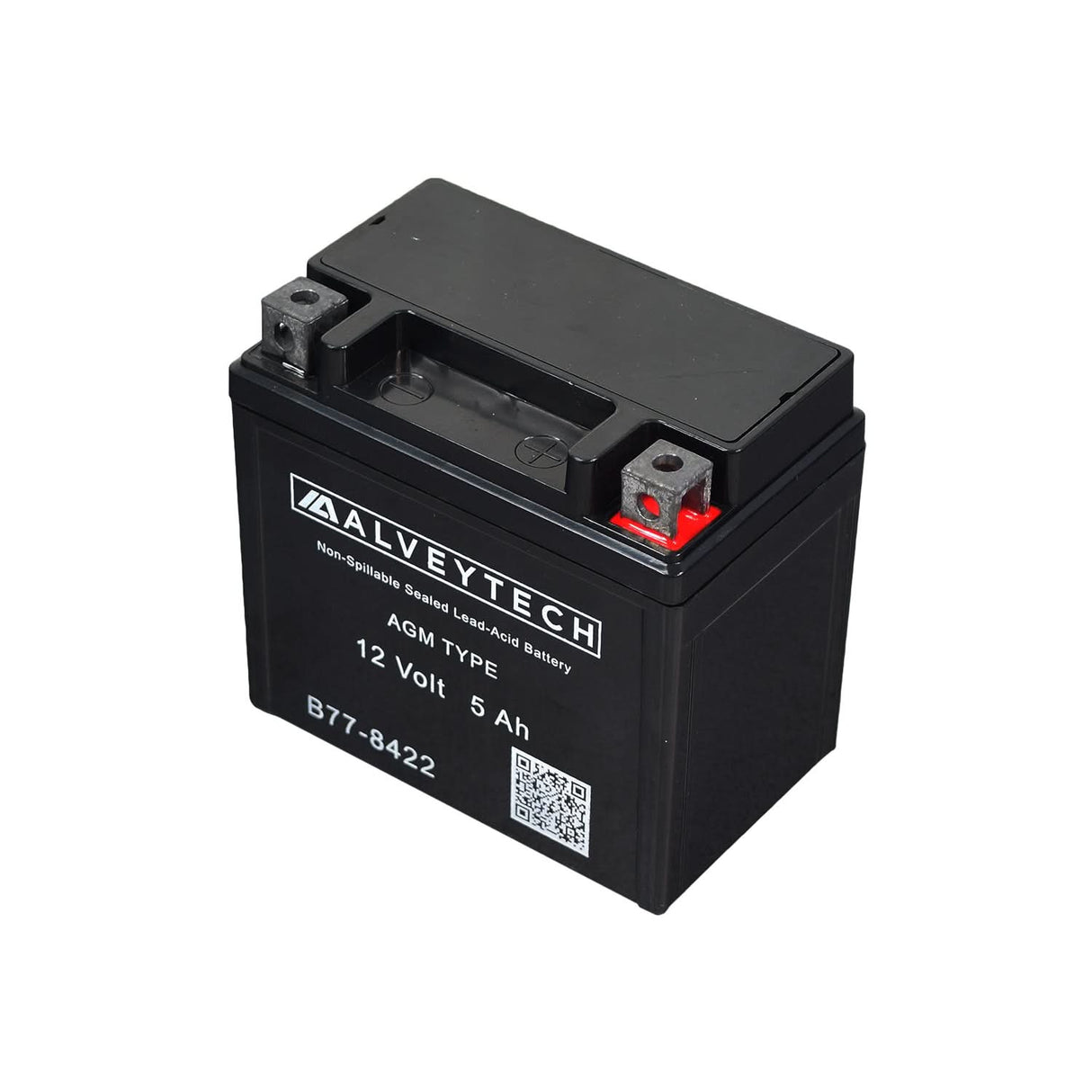 12 Volt YTX5L Replacement Sealed AGM Scooter, ATV, and Dirt Bike Battery