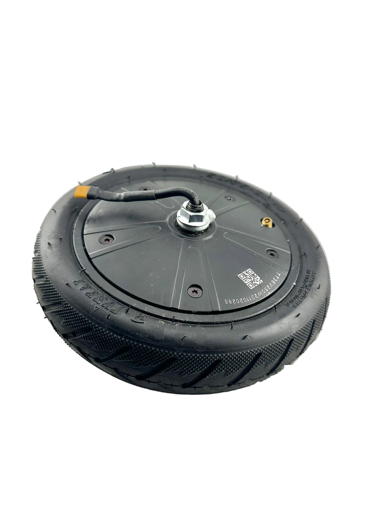 250 Watt Hub Motor & Front Wheel Assembly for GOTRAX GXL V2 & XR Elite Electric Scooters (Blemished)