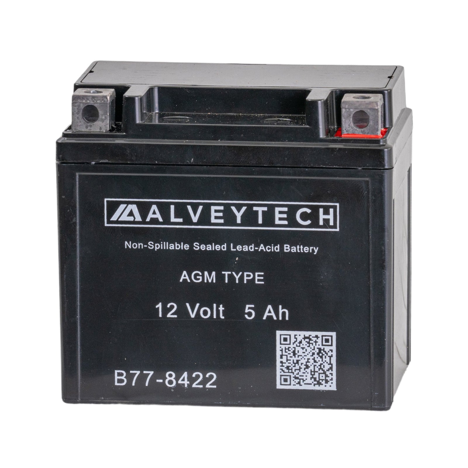 12 Volt YTX5L AGM Battery for Coleman AT125-B, AT125-EX, AT125-UT, & TaoTao Raptor 200 ATVs