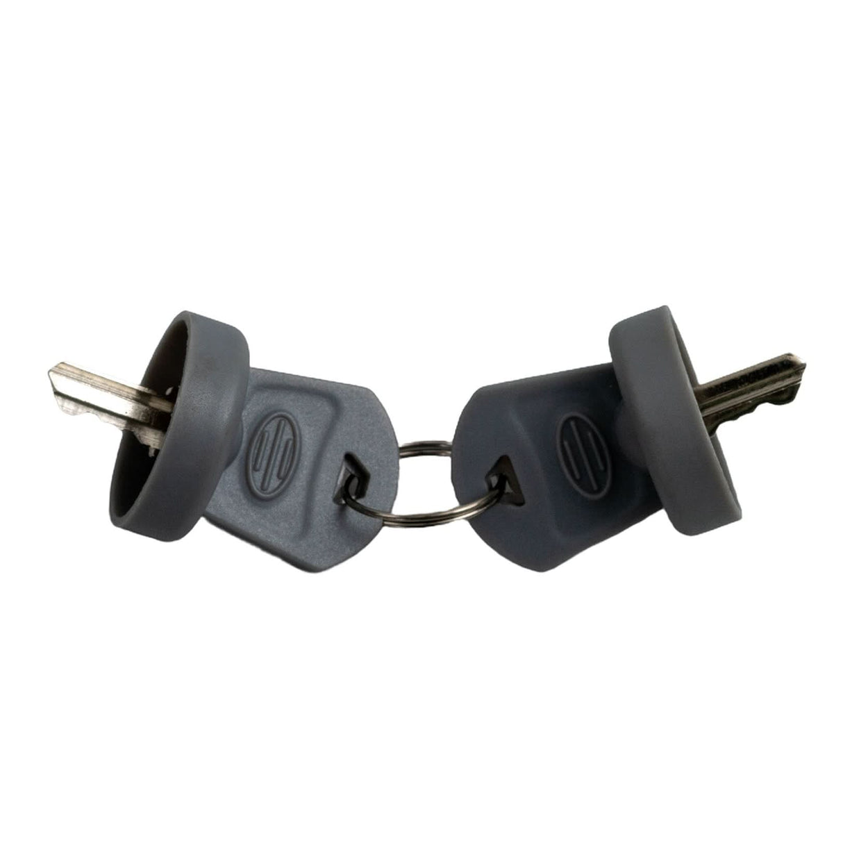 Close-up of the Key Switch with Keys for the Golden Technologies Companion I (GC240) and II (GC340, GC440) Scooters (Type 2), showing two keys attached to a keychain.