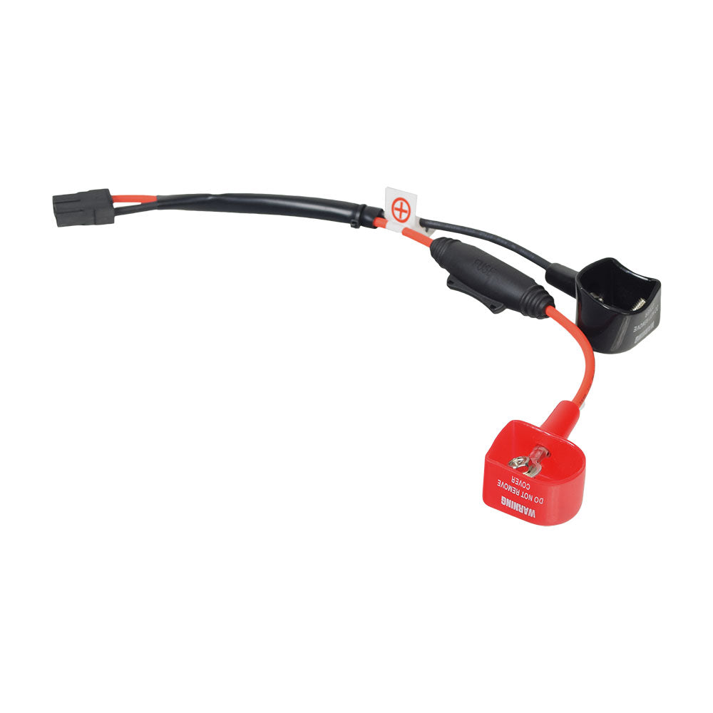 Battery Harness Cable for the Golden Companion I & II (GC240, GC340, & GC440) featuring red and black electrical wires with a 125 amp inline fuse on the positive cable.