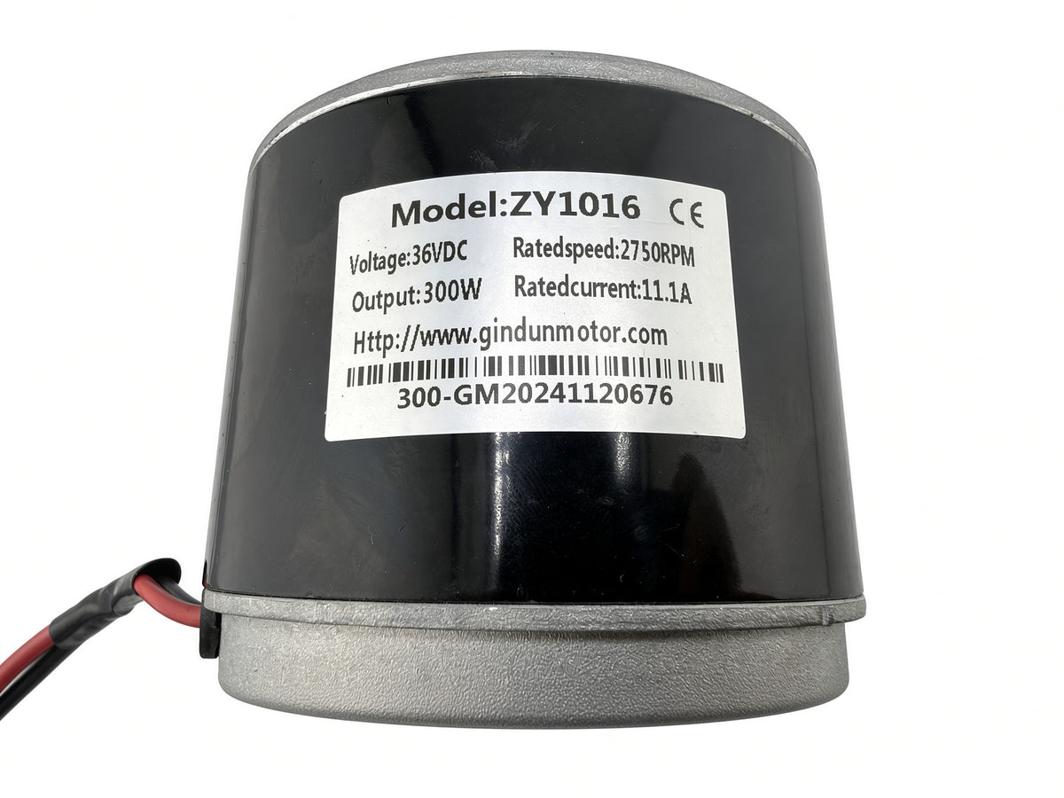 Label on Hiboy DK1 motor: model ZY1016, 36V DC, 300W, 2750 RPM, 11.1A rated current