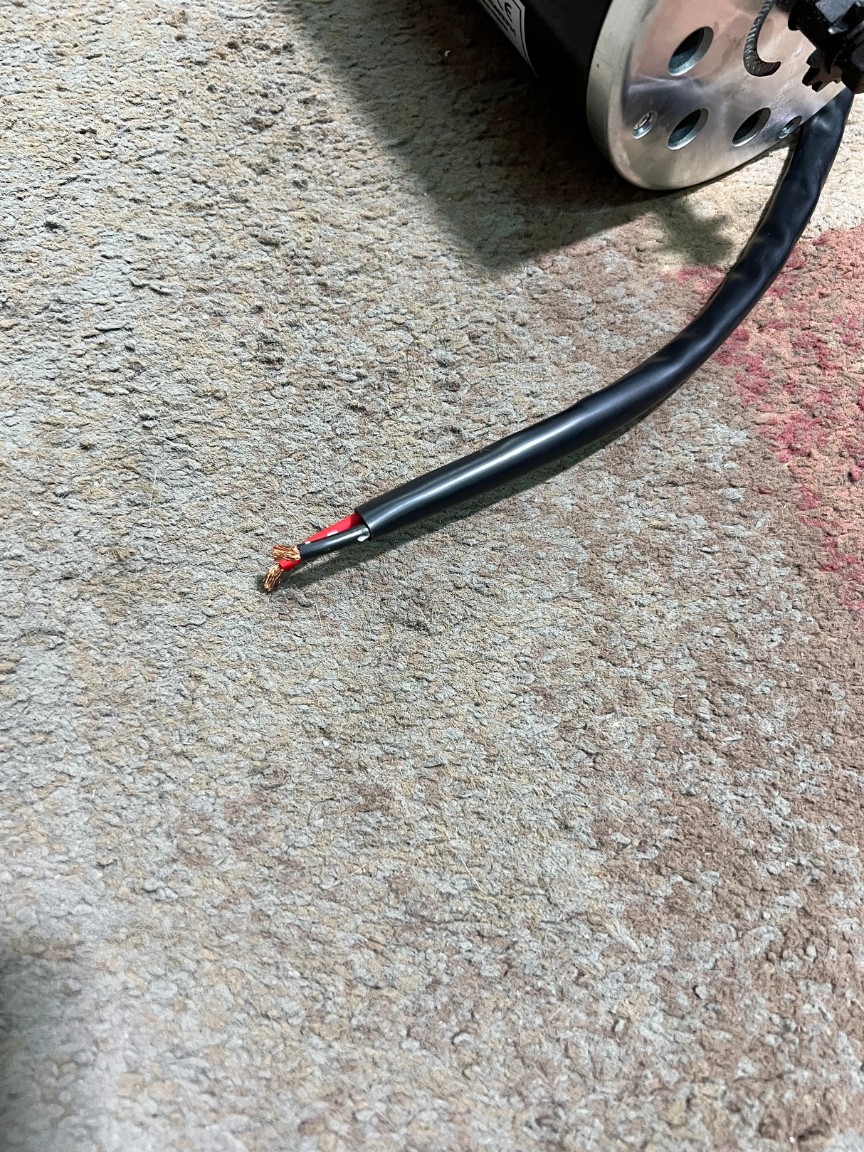 24 Volt 500 Watt MY1020 Electric Motor with 11 Tooth #25 Chain Sprocket (Blemished), featuring visible mounting holes and wiring on a grey carpet background.