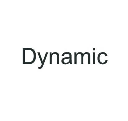 Dynamic Controller Diagnostic Service for Power Chairs (Nonintegrated) - Close-up of text detailing the diagnostic, repair, and warranty services offered for Dynamic nonintegrated power chair controllers.