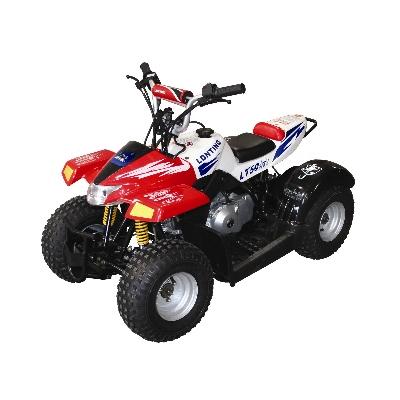 Baja 49 (BA49) 49cc/50cc ATV Parts