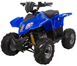 X-Treme XA-1000 ATV Parts