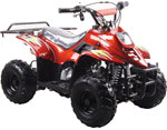 Coolster ATV-3050C 110cc ATV Parts