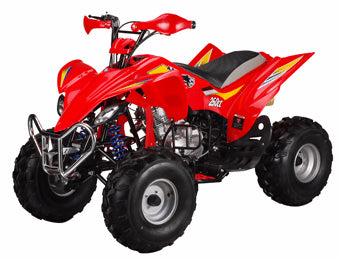 TaoTao ATA-250B/C ATV Parts