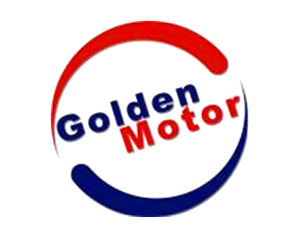 Golden Motor Electric Bike Parts