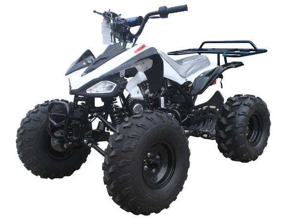 TaoTao Cheetah ATV Parts