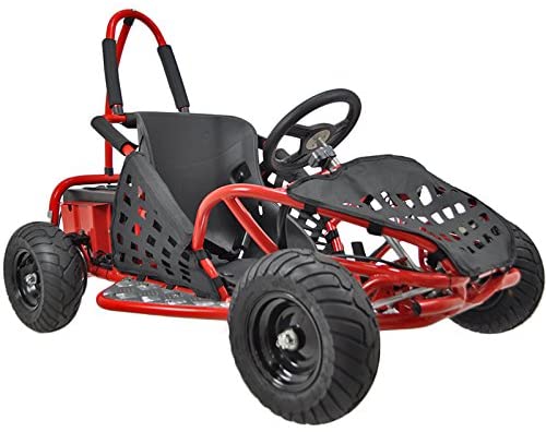 Go-Bowen Baja 1000W 48V Electric Go-Kart