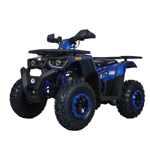 TaoTao G200 ATV Parts