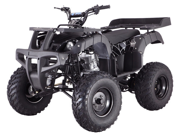 TaoTao Rhino 250 ATV Parts