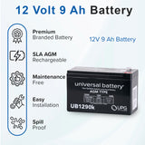 12 Volt Battery for the Razor E-Punk