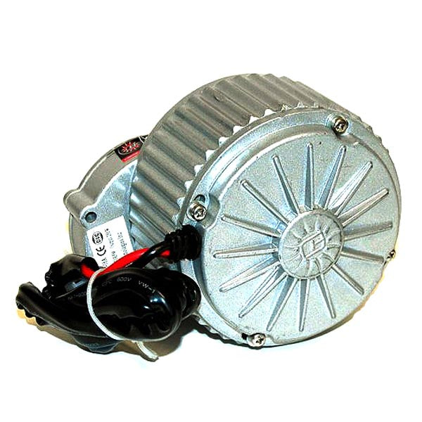 24 Volt 250 Watt XYD-16A Gear Reduction Electric Motor with 9 Tooth 1/8 Bicycle Chain Sprocket, featuring visible wires and a close-up of the motor’s label, suitable for eZip EcoRide and IZIP Via Rapido e-bikes.