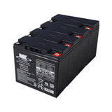 48 Volt 22 Ah Battery Pack for the TaoTao EK80 Electric Go-Kart, shown as a group of black batteries with white text and black labels, highlighting their maintenance-free and spill-proof design.