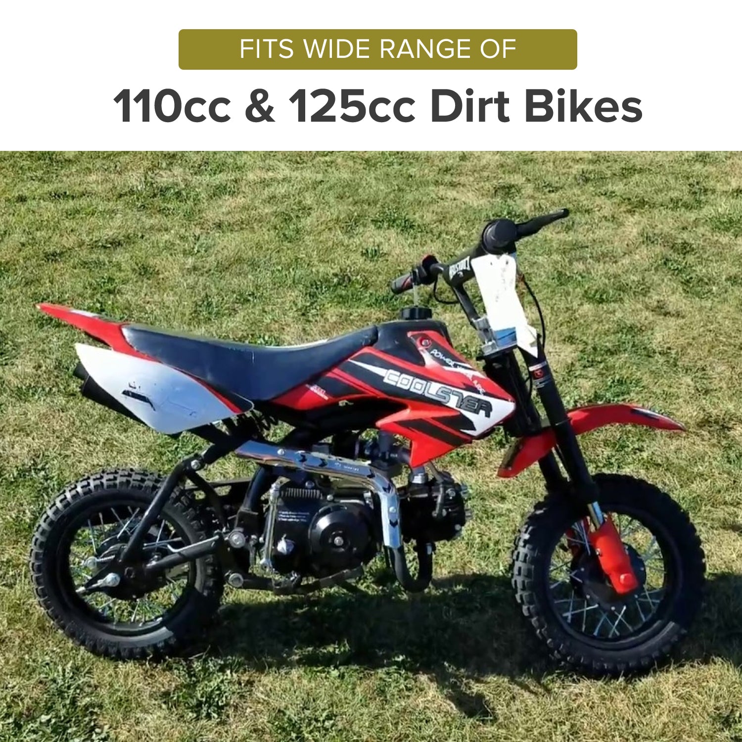 Rear Foot Brake, Disc, Pads, & Master Cylinder Assembly for 110cc & 125cc Dirt Bikes