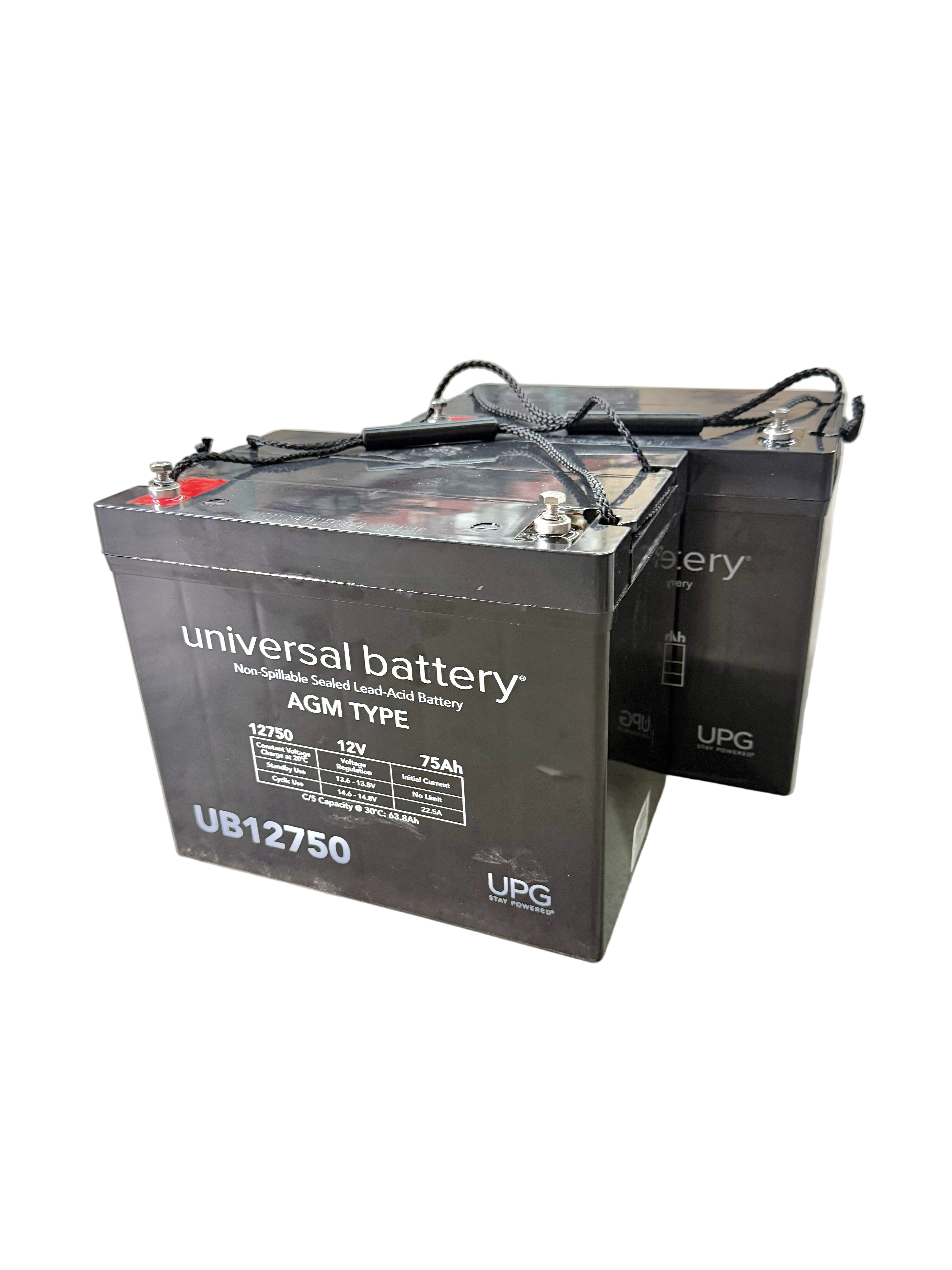 Group 24 (75 Ah) 24 Volt UB12750 AGM Scooter Battery Pack with Screw Terminals