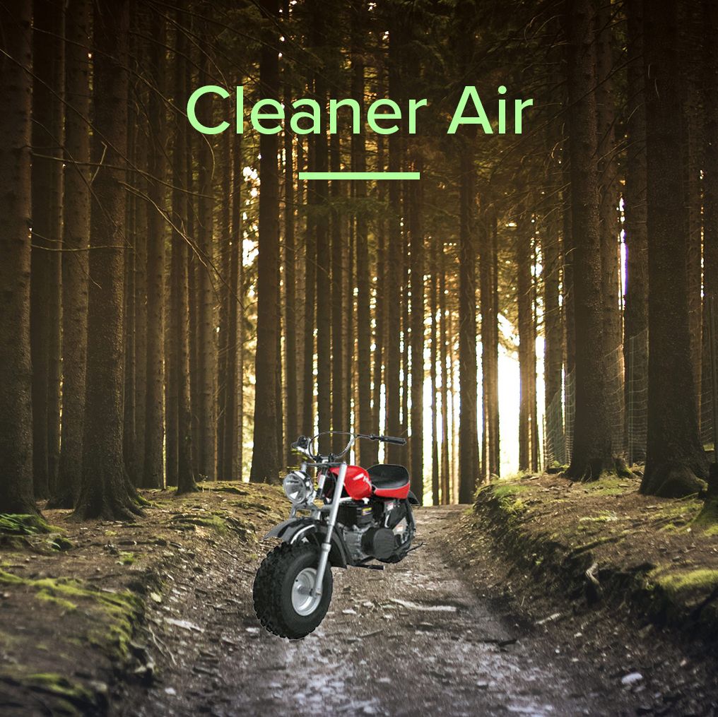 AlveyTech Air Filter Element for Predator 212cc 6.5 HP Engines & Baja Mini Bike MB165 & MB200 (Set of 2) displayed on a red and black motorcycle on a dirt road in a forest.