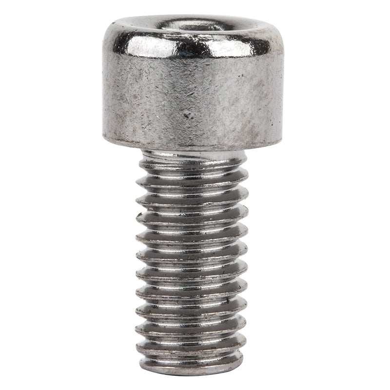 Close-up of an M5-.8x10 mm allen bolt for securing a bottle cage to a bike frame, part of a set of two.