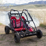 196cc, 200cc, & 212cc Carburetor with 24 mm Air Intake for Baja Mini Bike MB165 & MB200, shown installed in a red and black go-kart parked on a dirt path by water.