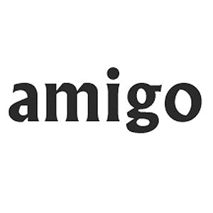 Amigo Mobility