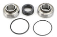 Chain Case Bearing & Seal Kit for Arctic Cat Snowmobiles (1984-2011) showing a group of metal bearings, a round gasket, and a rubber ring, essential for jack shaft and drive shaft maintenance.