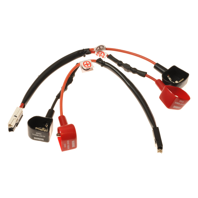 Complete Left and Right Battery Cables for the Golden Technologies Companion I (GC221) and Companion II (GC321, GC421) series mobility scooters, featuring bundled red and black wires for efficient electrical conductivity.