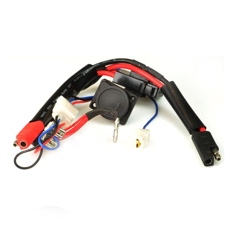 Close-up of the Complete 24 Volt 40 Amp Wire Harness for Currie 400 Series Scooters, displaying red and blue wires and electrical components.