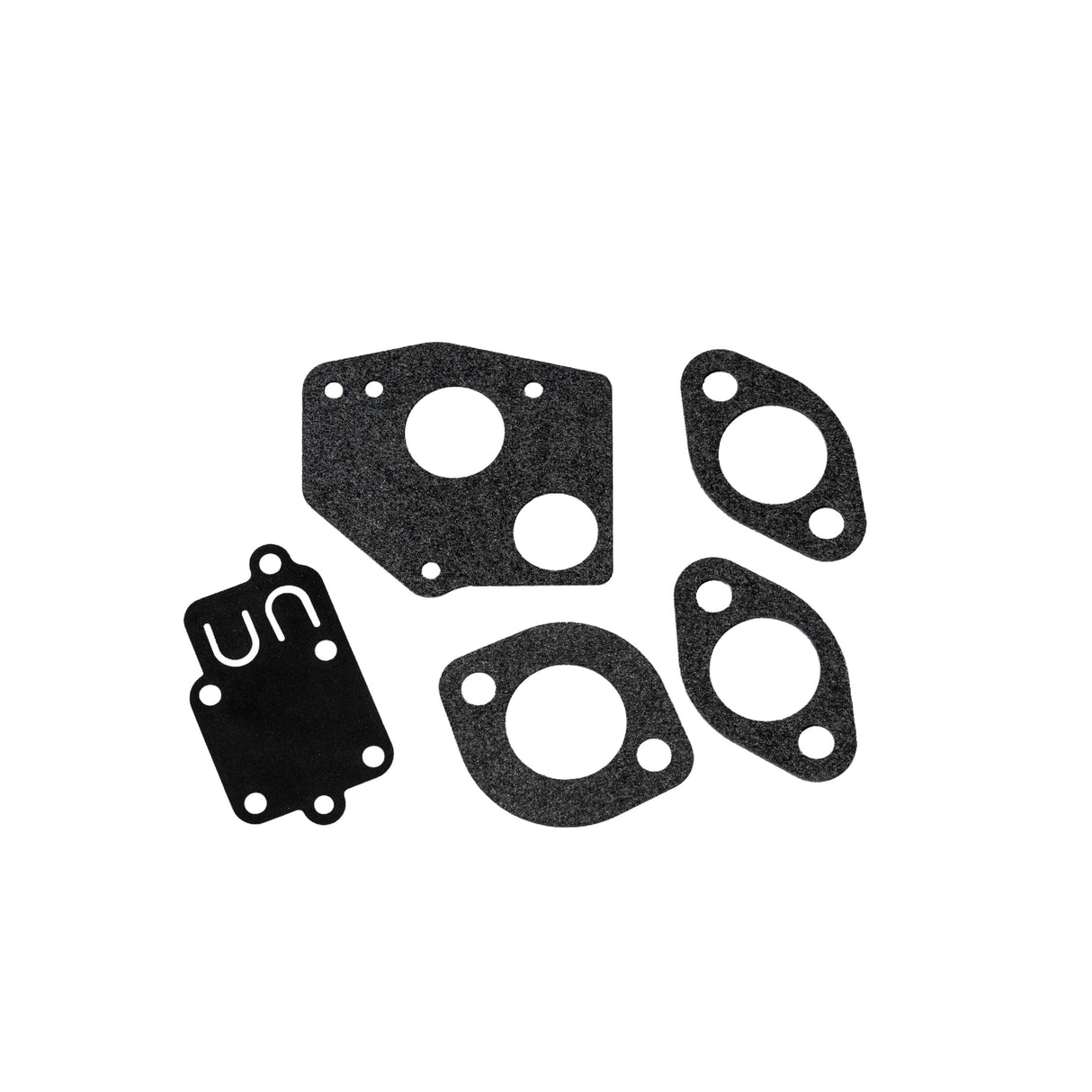 Carburetor Repair Kit 495606, 494624 for Briggs & Stratton engines, featuring a group of black gaskets, needle valve, and jet components, essential for 3-5.5 Hp horizontal shaft engines.