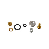 Carburetor Repair Kit 495606, 494624 for Briggs & Stratton Engines includes metal parts like gaskets, needle valve, jet, hexagon nut, metal spring, and brass components essential for engine maintenance.