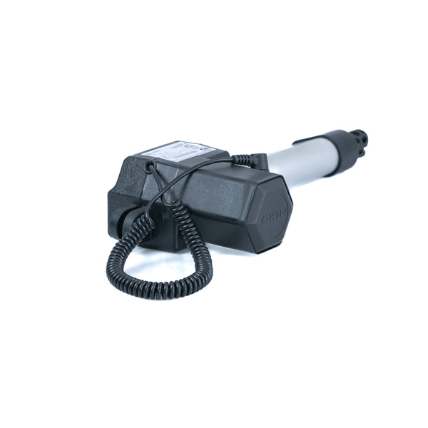 dsc00985_grande.jpg?v=1712694022