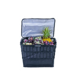 Insulated Basket Bag for Bicycles, E-Bikes, & Scooters inside a bike basket, filled with assorted fruits including grapes and a pineapple, showcasing its spacious, secure, and versatile storage capacity.