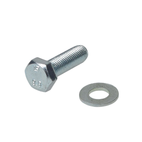 M8 1.0x25 Hex Bolt & Washer (Flange Bolt Replacement) for Baja Mini Bike (MB165), close-up of a hex bolt with a nut and flat washer, essential for the clutch assembly.