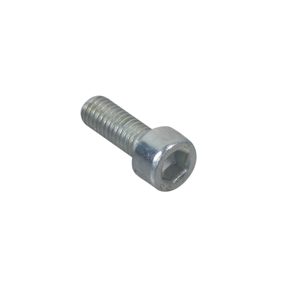 Close-up of an M6 Allen Bolt for the Baja Mini Bike (MB165), showcasing its stainless steel construction and precise threading, ideal for securing the chain cover and other parts.