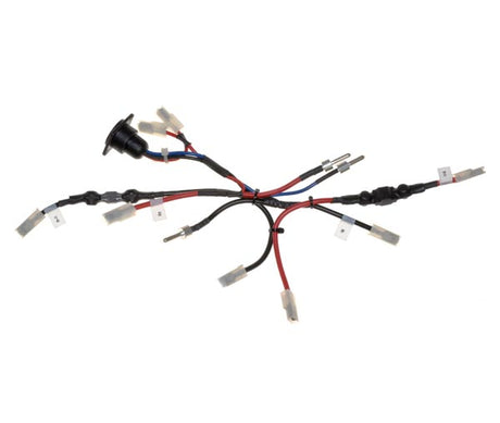 Close-up of an Electronic Harness for the 12 Ah Go-Go Battery Box Assembly, showing several intertwined wires and a fuseable link.