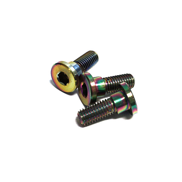 Electroplated Stainless Steel Disc Brake Screws for Scooters are shown in a group with hexagon heads, highlighting their sturdy design and corrosion-resistant finish.