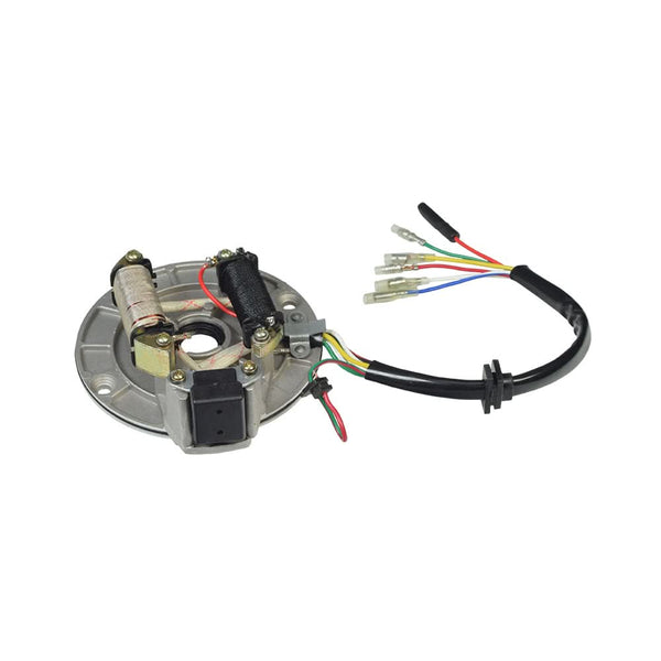 2-Coil Magneto Stator Plate for 70cc, 90cc, 110cc, & 125cc Dirt