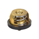 Thermostat for the Polaris Sportsman 500 ATV (1996-2004): Close-up of a metal coil, part of the thermostat, with brass and bronze elements visible.