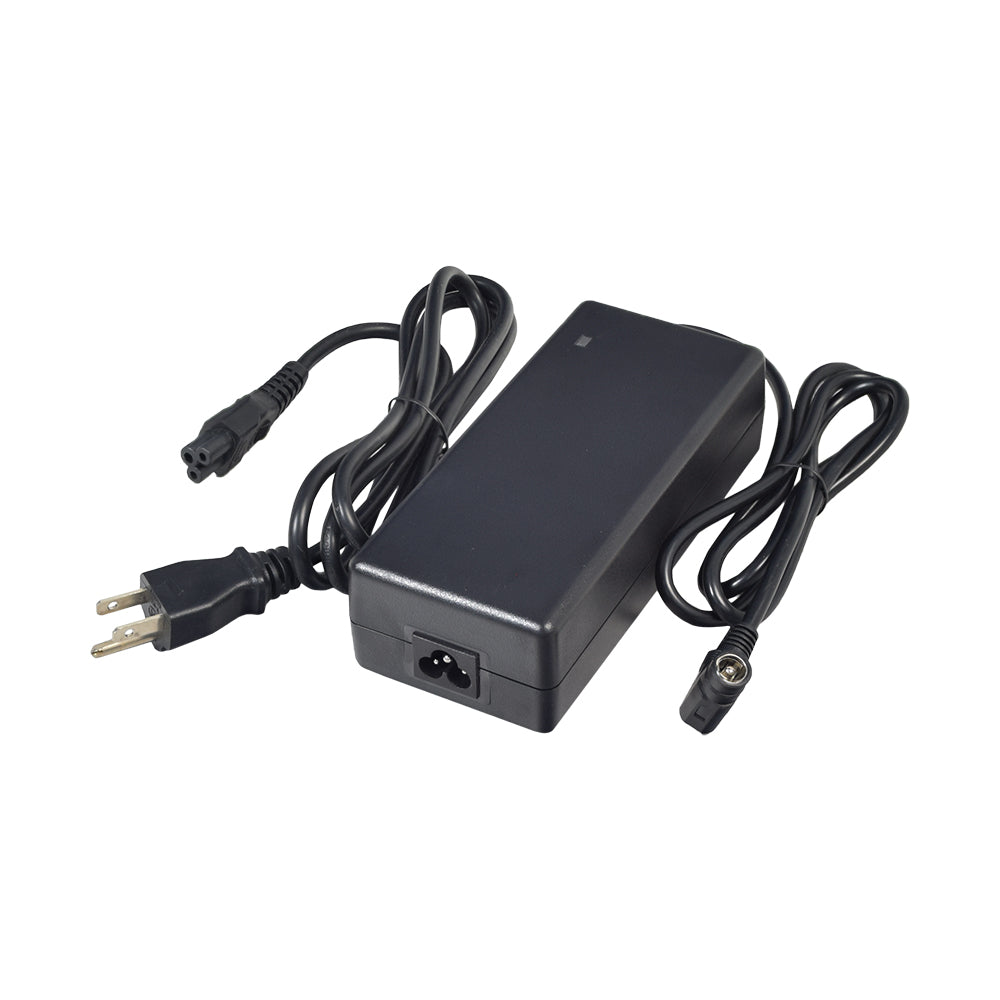 24 Volt 2.0 Amp Coaxial Lithium-iron (LiFePO4) Battery Charger for Electric Bikes, featuring a black power cord with plugs and silver metal tips, designed specifically for LiFePO4 batteries.