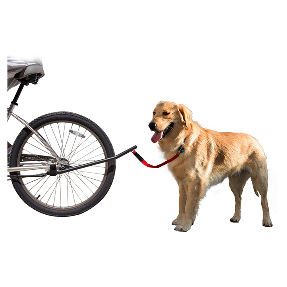 Bicycle Dog Leash: A dog on a red leash pulls a bicycle. The leash attaches to the bike's rear wheel axle, ensuring both rider and pet stay active.