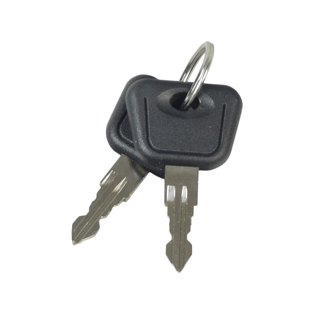 Key Switch with Keys for the Pioneer 4, 9, and 10 Mobility Scooters, showing a set of metal keys on a key ring, highlighting their close-up details.