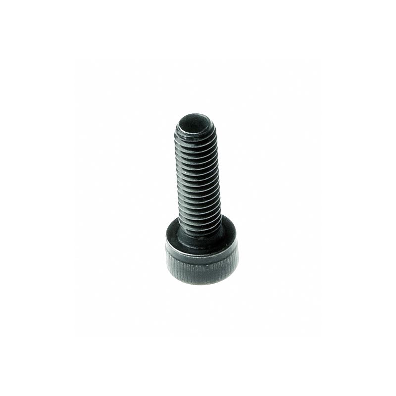 Close-up of the M5-.8x15 mm Black Allen Socket Machine Bolt (SCRSHCS1106) showing its metal surface and recessed Allen head, designed for Go-Go and Pride Mobility scooter transaxle assemblies.