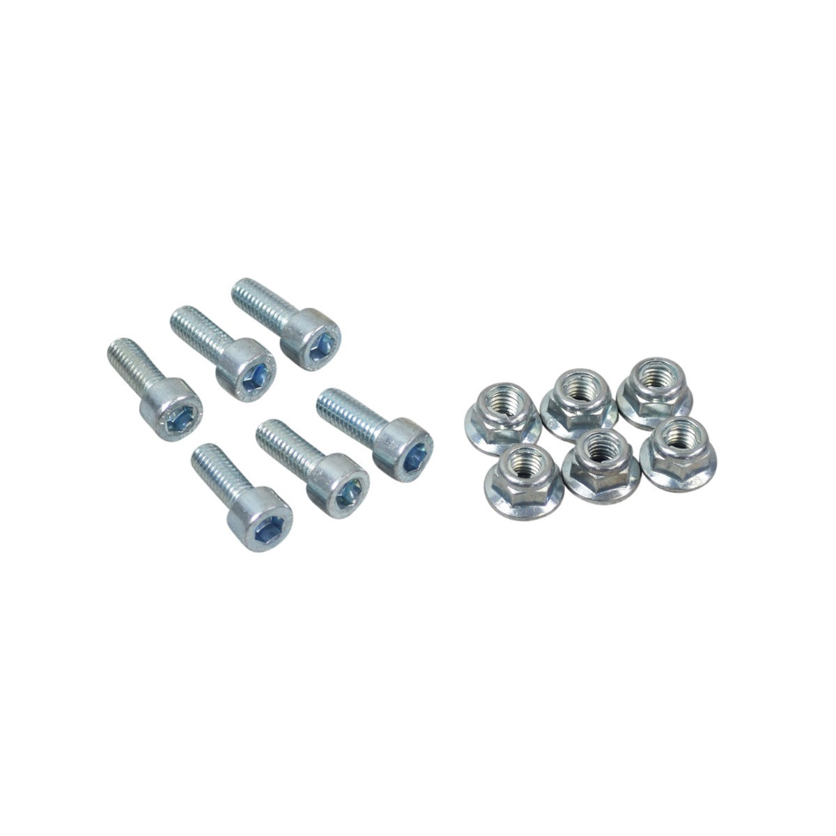 M6x1.00 Nuts and Bolts Set featuring 6 nuts and 6 bolts displayed together, showcasing close-ups of individual screws and nuts.