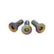 Titanium Brake Rotor Bolts for Scooters: A close-up of three stainless titanium screws with a rainbow finish, showcasing their detailed threads and precision design for high-quality scooter parts.