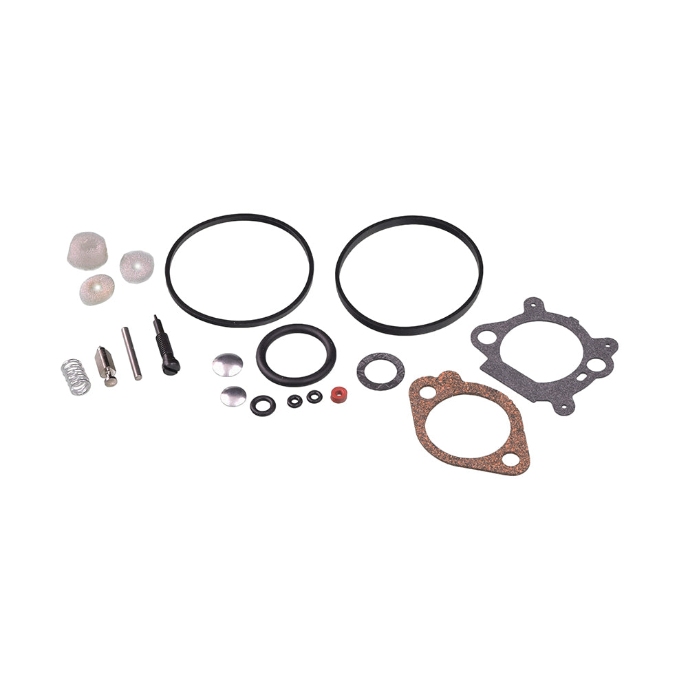 Carburetor Repair Kit 398183, 490937, 492495, 493762, 498260, & 498261 for Briggs & Stratton Engines, shown with various gaskets and small parts, including needle valve and springs, laid out together.