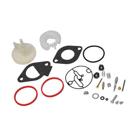 Carburetor Repair Kit 698787, 790032, 796184 for Briggs & Stratton 215000 Engines, featuring various gaskets, needle valve, springs, and jet components laid out.