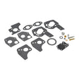 Carburetor Repair Kit 494624, 495606 for Briggs & Stratton 3 Hp to 5.5 Hp Horizontal Shaft Engines featuring close-up views of various metal parts, gaskets, springs, and needle valve.